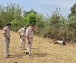 खेत में लाश मिलने से मचा हड़कंप, स्लीमनाबाद थाना क्षेत्र के ग्राम बिचुआ का मामला, मौके पर पहुंची पुलिस, जांच शुरू*